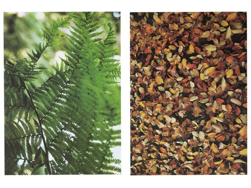 FEUILLES DE PAPIER ILLUSTRÉ PHOTOS 100 g Nature