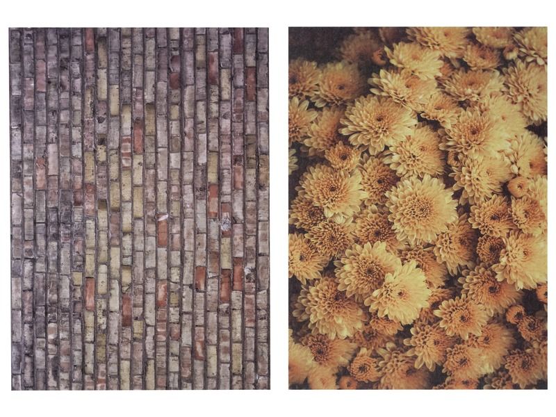 FEUILLES DE PAPIER ILLUSTRÉ PHOTOS 100 g Textures