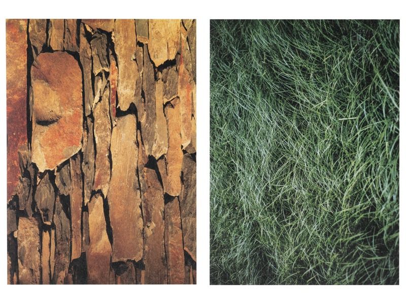 FEUILLES DE PAPIER ILLUSTRÉ PHOTOS 100 g Textures