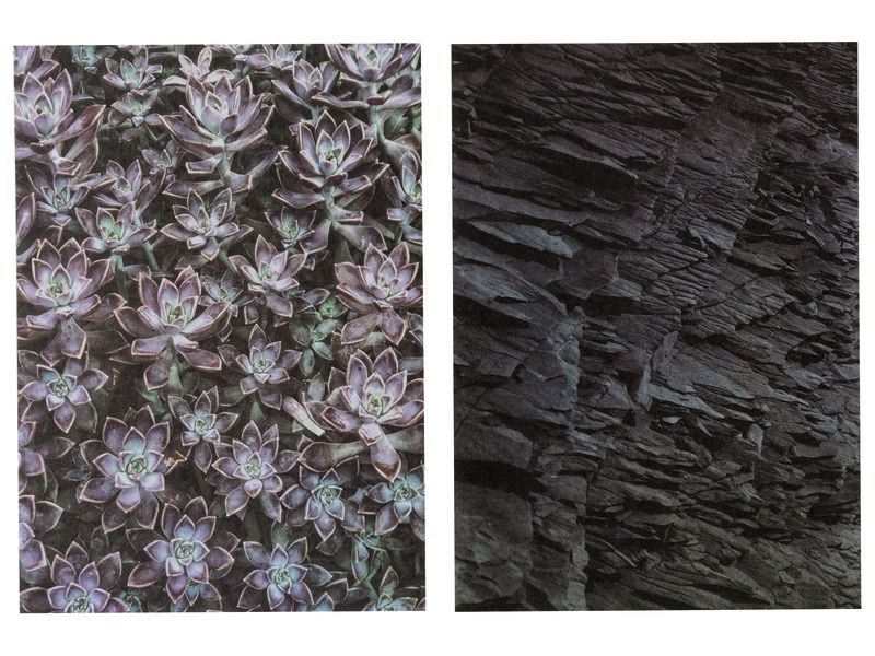 FEUILLES DE PAPIER ILLUSTRÉ PHOTOS 100 g Textures