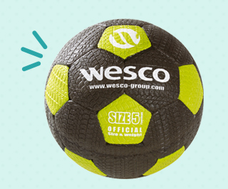 Ballon de foot Wesco
