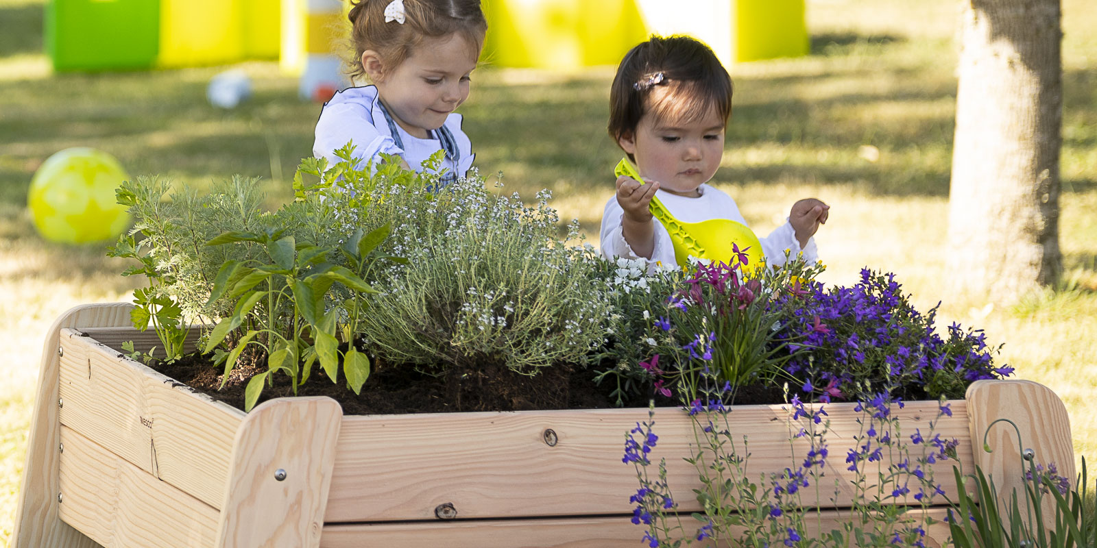 Comment créer un jardin pédagogique en crèche ?